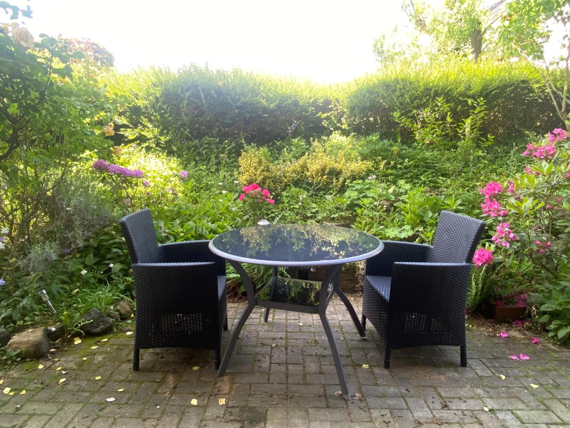 Ruhepol Im Taunus Naehe Frankfurt Apartment Friedrichsdorf Ngoại thất bức ảnh